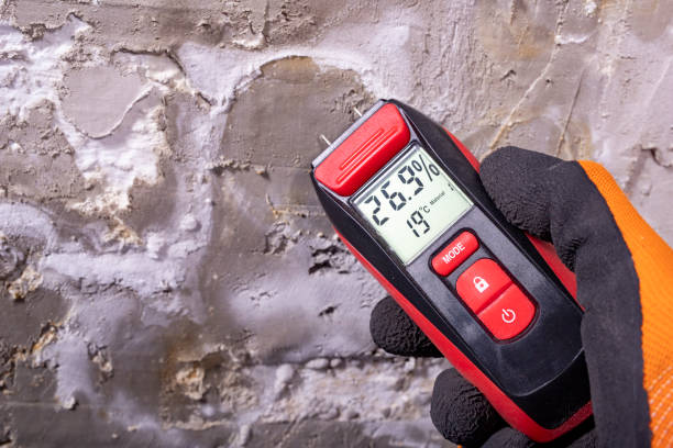 Best Commercial Mold Removal  in Youngtown, AZ